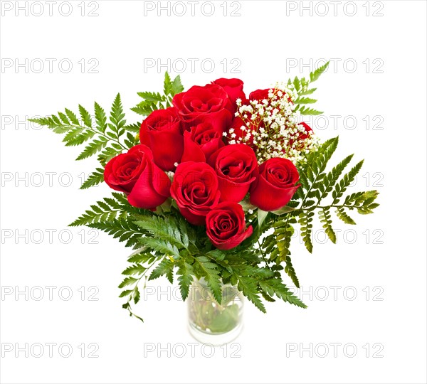 Close-up studio shot of red roses bouquet on white background. Photo : Elena Elisseeva