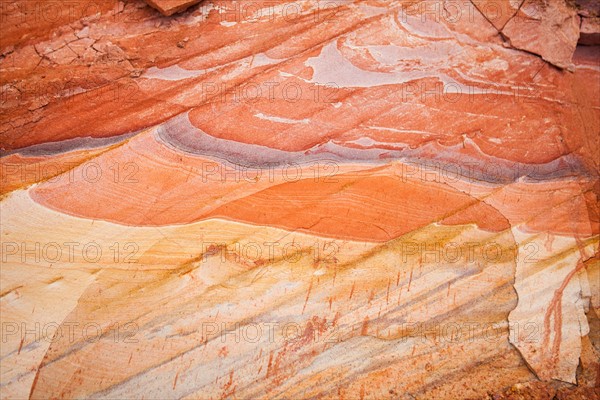 Close-up view of abstract pattern. Photo : Jessica Peterson