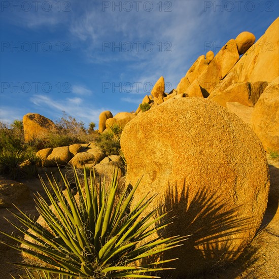 USA, California, Joshua Tree National Park, Rock formations.