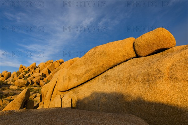 USA, California, Joshua Tree National Park, Rock formations.