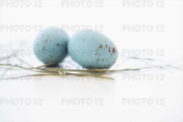 Studio shot of blue eggs.