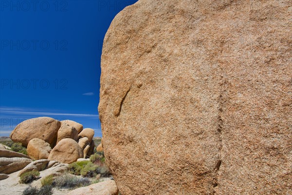 USA, California, Joshua Tree National Park, Desert rocks.