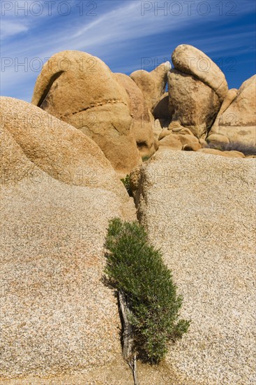 USA, California, Joshua Tree National Park, Rock formations.