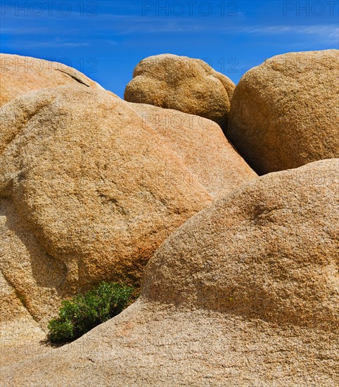 USA, California, Joshua Tree National Park, Rock formations.