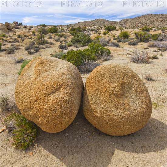 USA, California, Joshua Tree National Park, Boulders in desert.