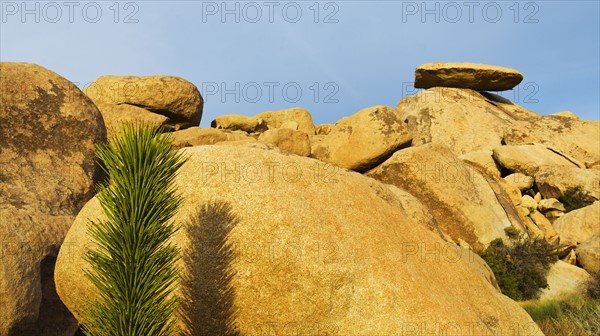 USA, California, Joshua Tree National Park, Rock formations.