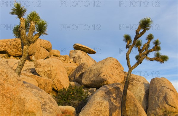 USA, California, Joshua Tree National Park, Rock formations.