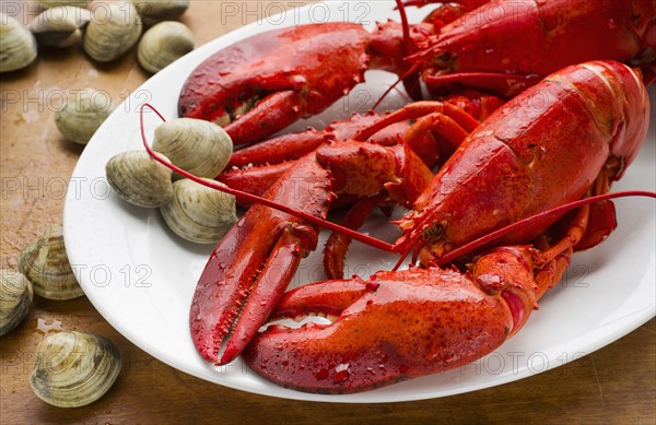 Cooked lobster.