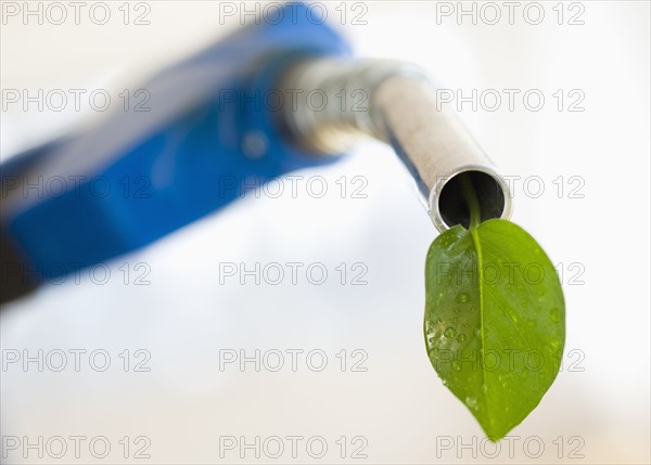 Fuel nozzle with green leaf.