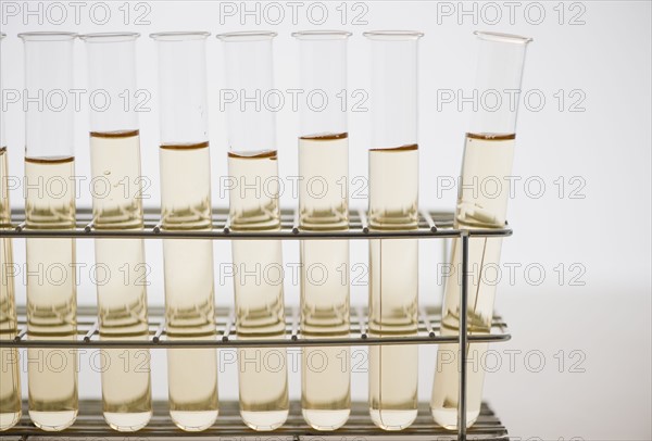 Liquid in test tubes. 
Photo : Jamie Grill