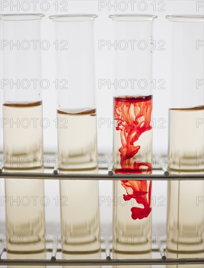 Liquid in test tubes. 
Photo : Jamie Grill