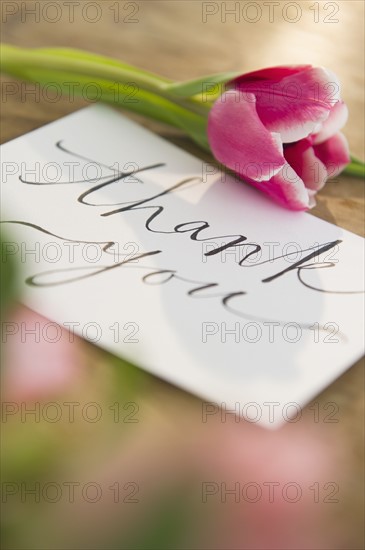 Close-up of greeting card and flower. 
Photo : Jamie Grill