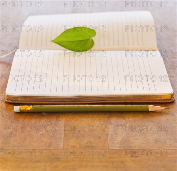 Close up of leaf lying on open notebook, studio shot. 
Photo : Daniel Grill