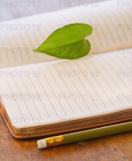 Close up of leaf lying on open notebook, studio shot. 
Photo : Daniel Grill