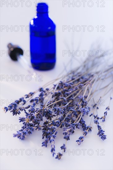 Close up of lavender and laboratory glassware, studio shot. 
Photo : Daniel Grill