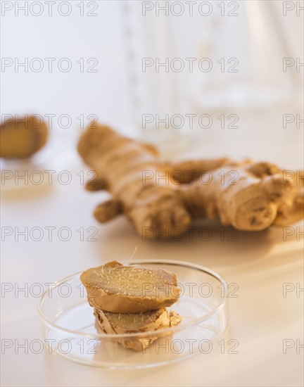 Close up of ginger root in beaker, studio shot. 
Photo: Daniel Grill