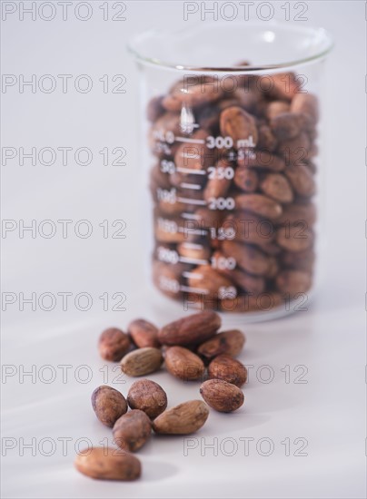 Close up of cocoa beans in beaker, studio shot. 
Photo: Daniel Grill