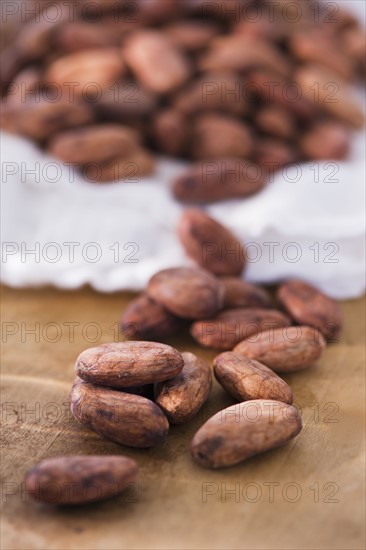 Close up of cocoa beans, studio shot. 
Photo : Daniel Grill