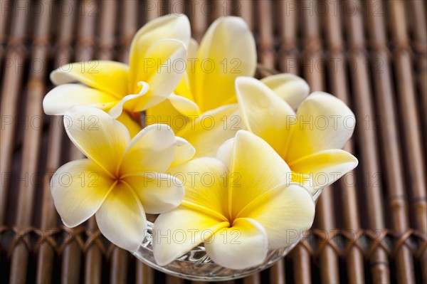 Vase with plumeria bouquet. 
Photo : Kristin Lee