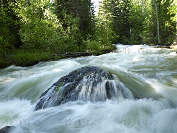 USA, Colorado, Mountain creek in forest. 
Photo: John Kelly