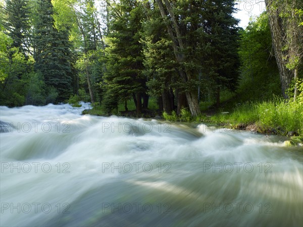 USA, Colorado, Mountain creek in forest. 
Photo : John Kelly