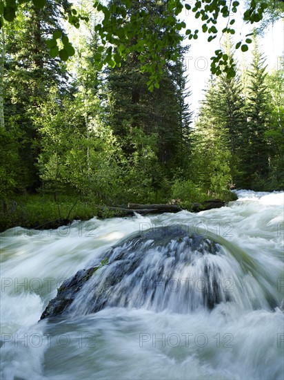 USA, Colorado, Mountain creek in forest.
Photo : John Kelly