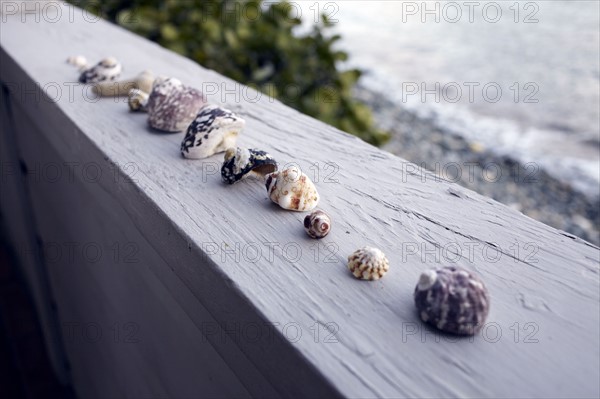 United States Virgin Islands, St. John, Seashells on terrace. 
Photo: Winslow Productions