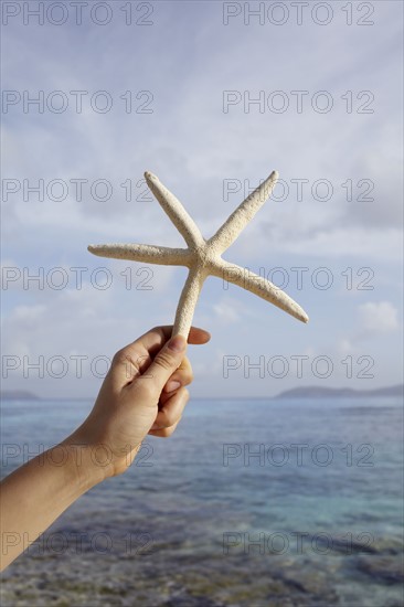 United States Virgin Islands, St. John, Starfish held by female hand. 
Photo : Winslow Productions