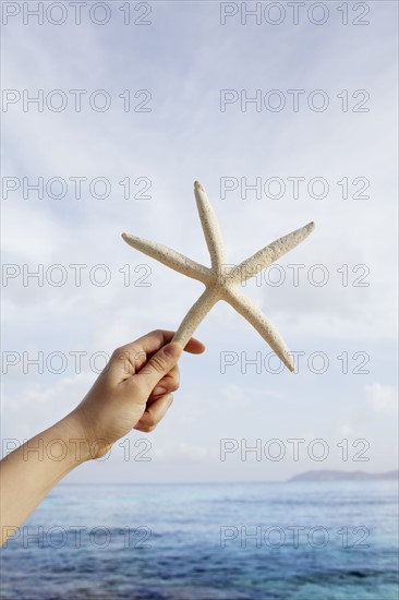 United States Virgin Islands, St. John, Starfish held by female hand. 
Photo : Winslow Productions