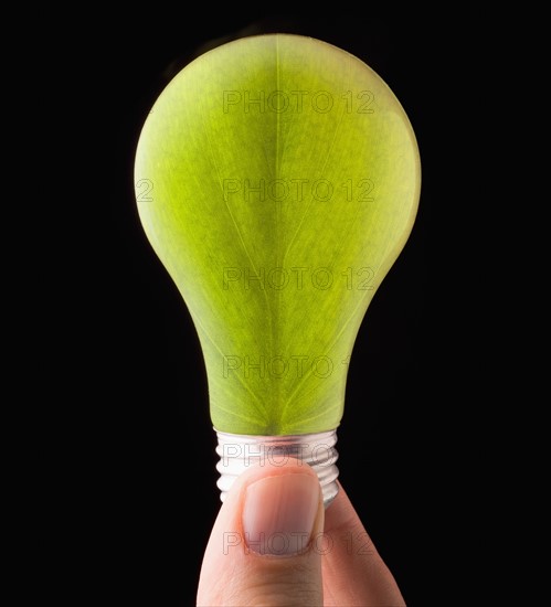 Close-up of light bulb with floral pattern. 
Photo : Mike Kemp