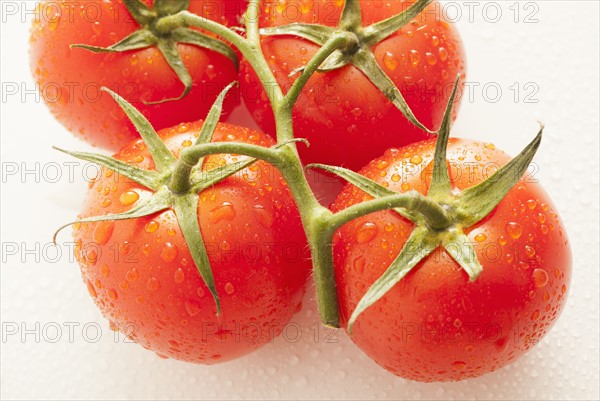 Fresh tomatoes with water drops. 
Photo : Mike Kemp