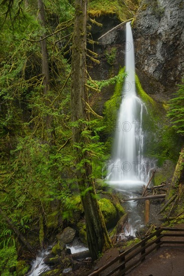 USA, Washington, Olympic National Park, Marymere Falls. 
Photo : Gary Weathers