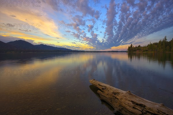 USA, Washington, Lake Quinault at sunset.
Photo : Gary Weathers