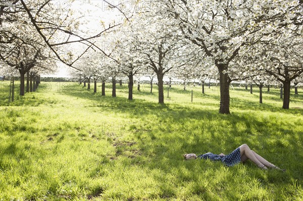 Belgium, Sint-Truiden, Young woman relaxing in spring orchard. 
Photo : Jan Scherders