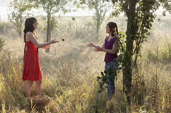 France, Picardie, Albert, Young women picking apples. 
Photo: Jan Scherders