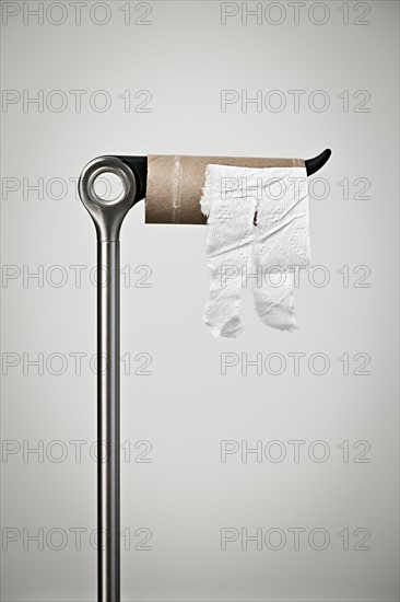 Empty toilet paper roll on holder, studio shot. 
Photo : Elena Elisseeva