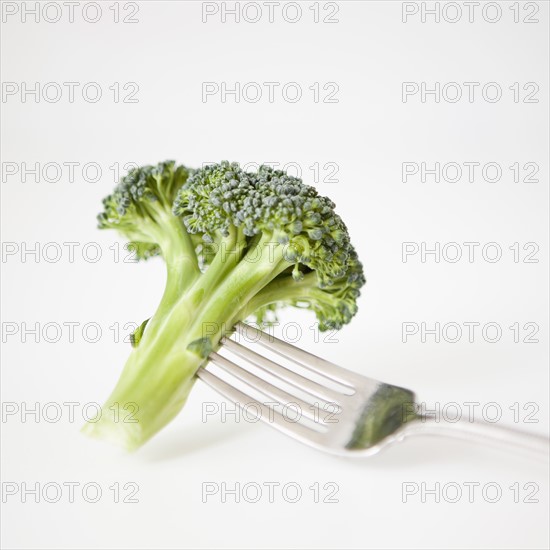 Broccoli on fork, studio shot. 
Photo : Jessica Peterson