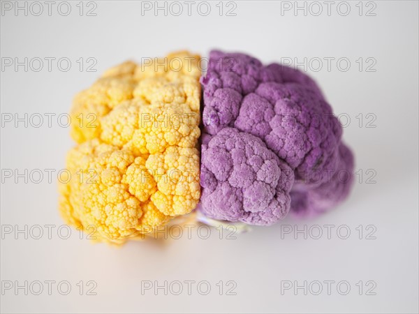 Yellow and purple cauliflower, studio shot. 
Photo : Jessica Peterson