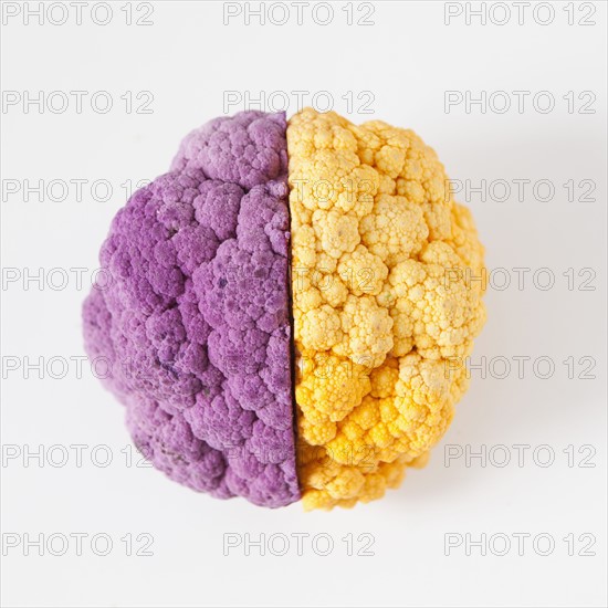 Yellow and purple cauliflower, studio shot. 
Photo : Jessica Peterson