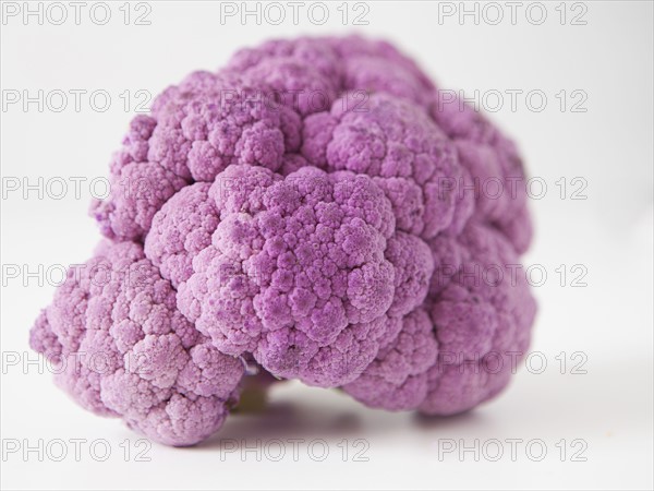 Purple cauliflower on white background. 
Photo : Jessica Peterson