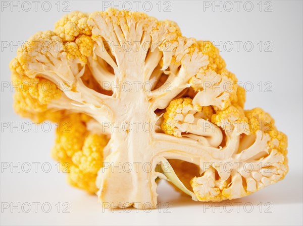 Yellow cauliflower on white background. 
Photo: Jessica Peterson