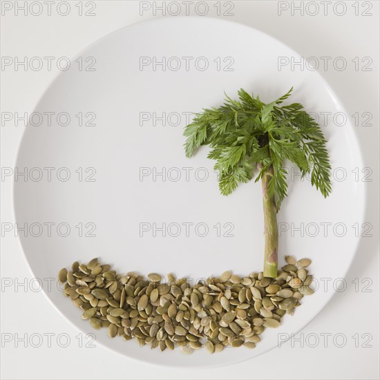 Palm tree on plate made out of food, studio shot. 
Photo: Jessica Peterson