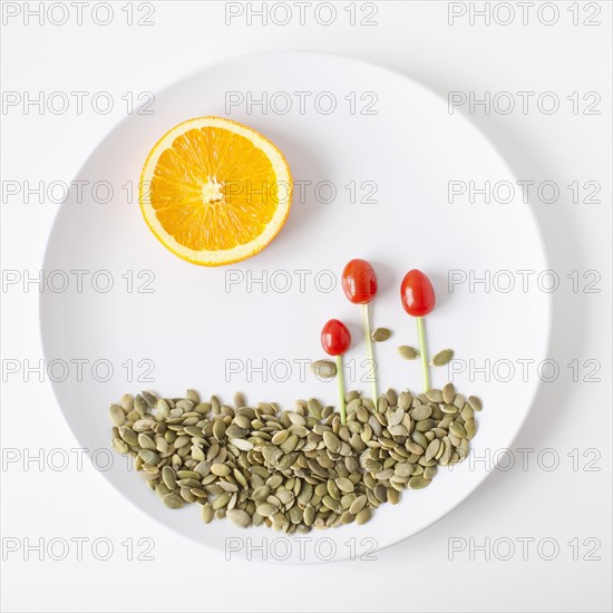 Landscape on plate made out of food, studio shot. 
Photo: Jessica Peterson