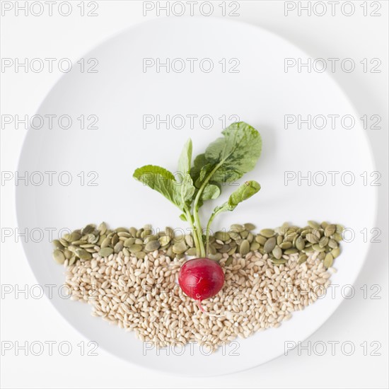 Radish and seeds on plate, studio shot. 
Photo : Jessica Peterson