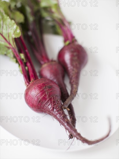 Beetroots on plate, studio shot. 
Photo : Jessica Peterson