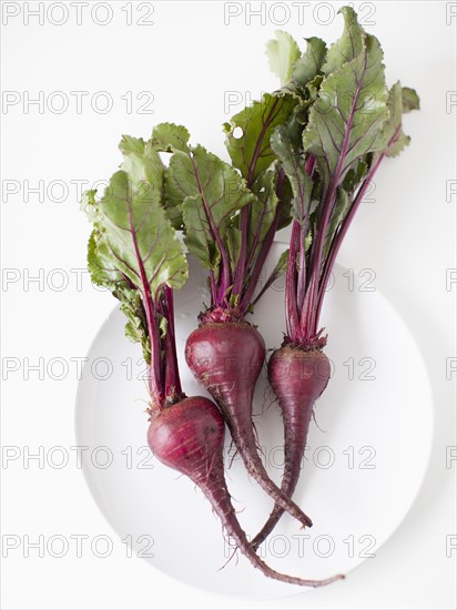 Beetroots on plate, studio shot. 
Photo : Jessica Peterson