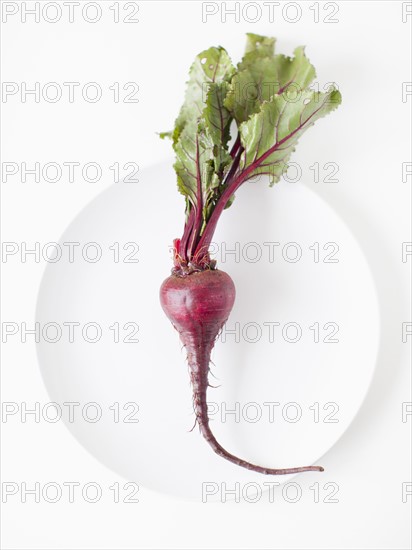 Beetroots on plate, studio shot. 
Photo : Jessica Peterson