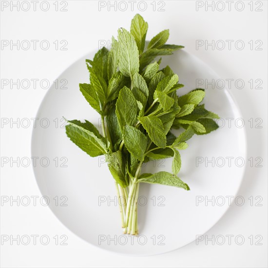 Bunch of mint on plate, studio shot. 
Photo : Jessica Peterson