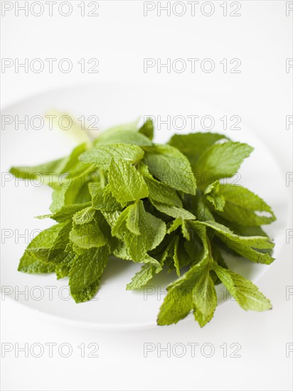 Bunch of mint on plate, studio shot. 
Photo: Jessica Peterson