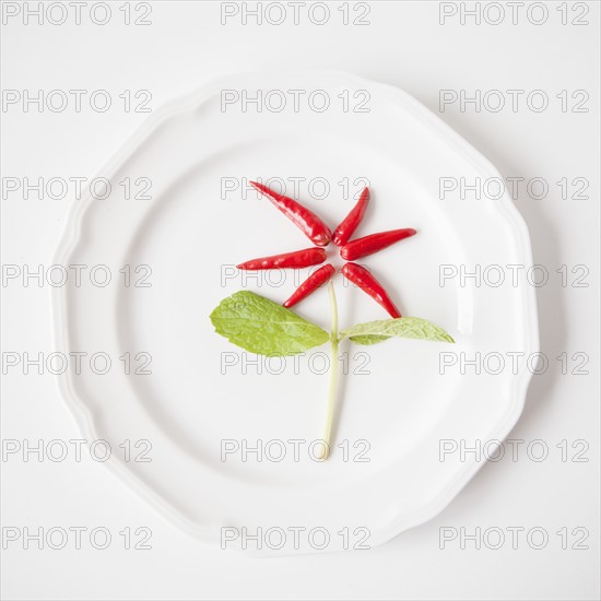 Flower on plate made out of food, studio shot. 
Photo : Jessica Peterson